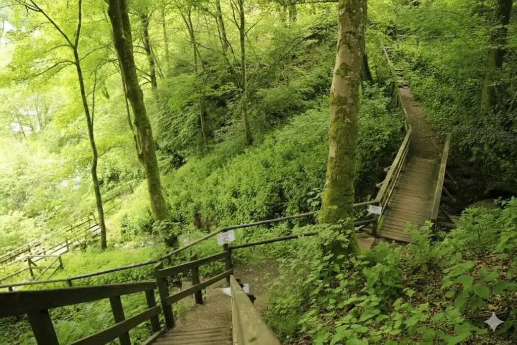 سفری یکروزه به مونشاو 187 مسیر پانوراما - جاهای دیدنی آلمان